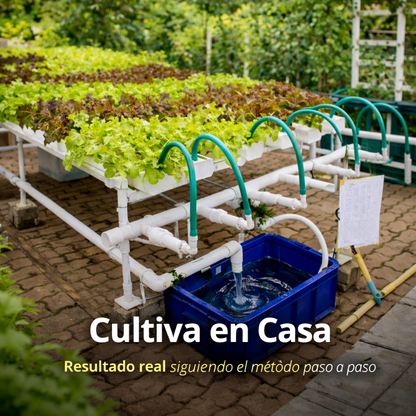 Cultiva en Casa Sin Tierra – Sistema Paso a Paso